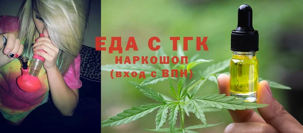 хмурый Алексин