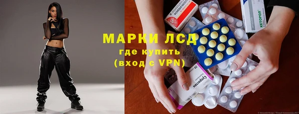 прущие грибы Алзамай