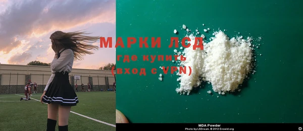 хмурый Алексин