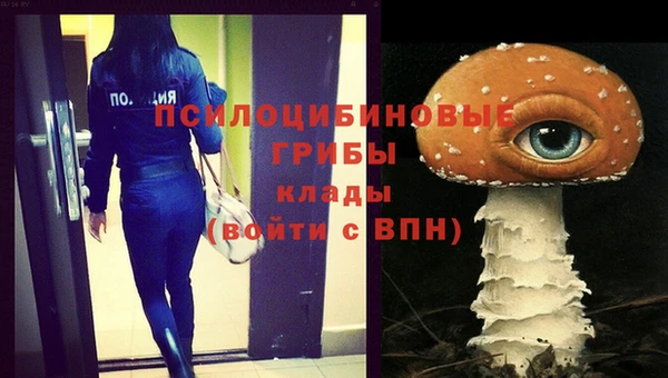 хмурый Алексин