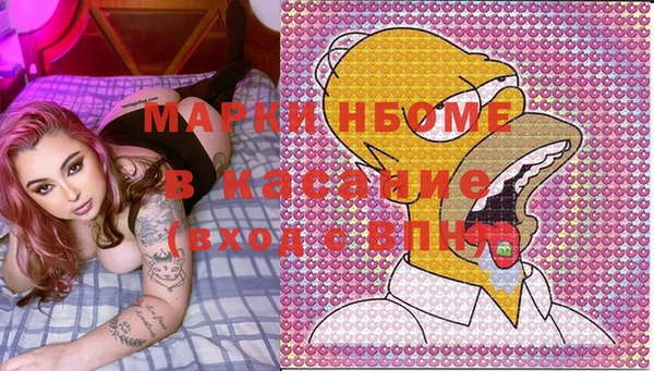 хмурый Алексин