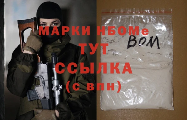 хмурый Алексин