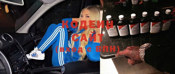 хмурый Алексин