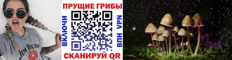 Галлюциногенные грибы ЛСД  MEGA маркетплейс  Амурск 